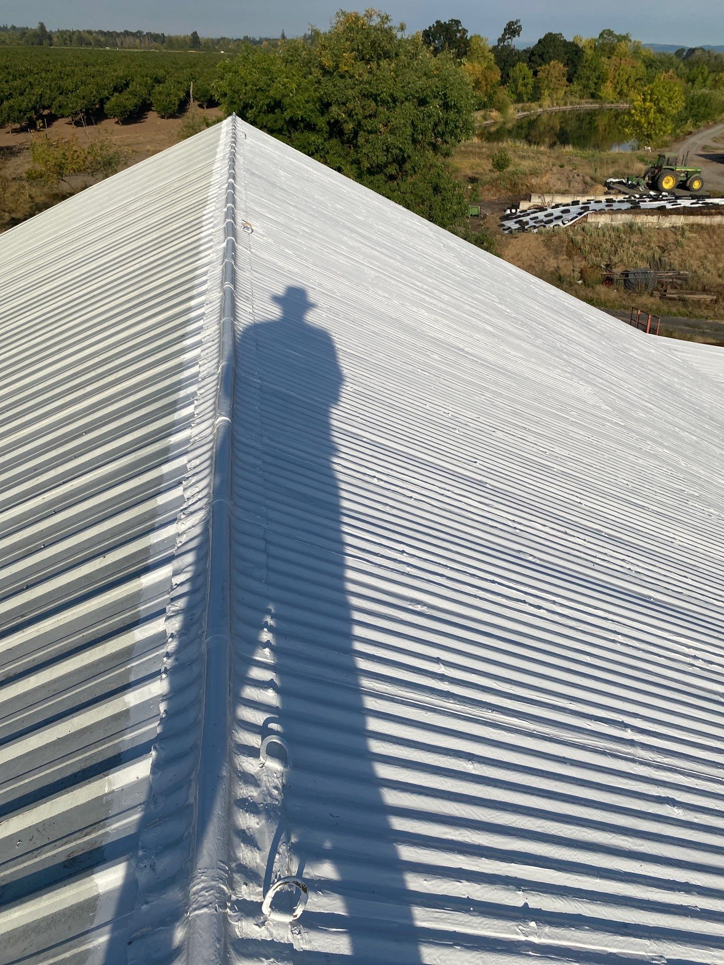 Metal Roof Restoration: A Legacy Barn in Canby, OR