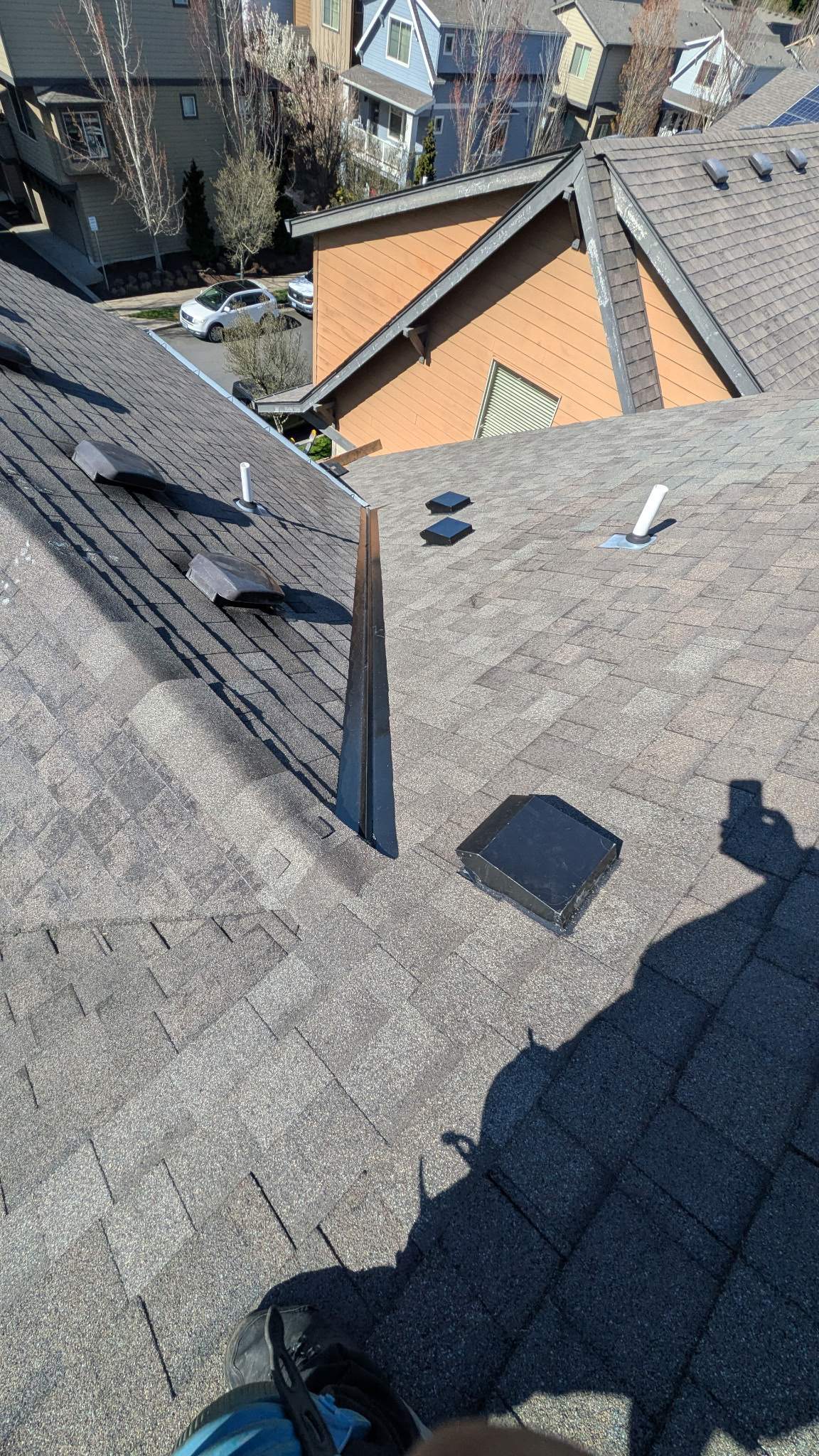 Roof Repair due to Microbial Growth