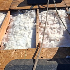 Roof-Repair-due-to-Microbial-Growth 0