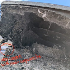 Roof-Repair-due-to-Microbial-Growth 8