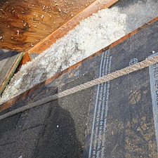 Roof-Repair-due-to-Microbial-Growth 7