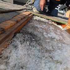 Roof-Repair-due-to-Microbial-Growth 5