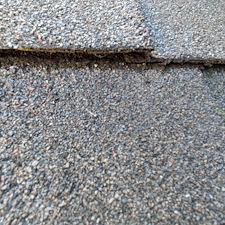 Roof-Repair-due-to-Microbial-Growth 4