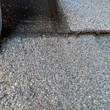 Roof-Repair-due-to-Microbial-Growth 3