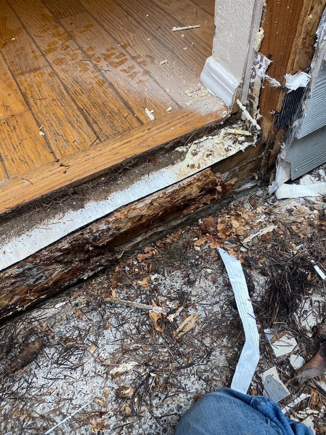 Window and Door Dry Rot Inspection